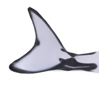 Orca staart met Monovin en Zwembril